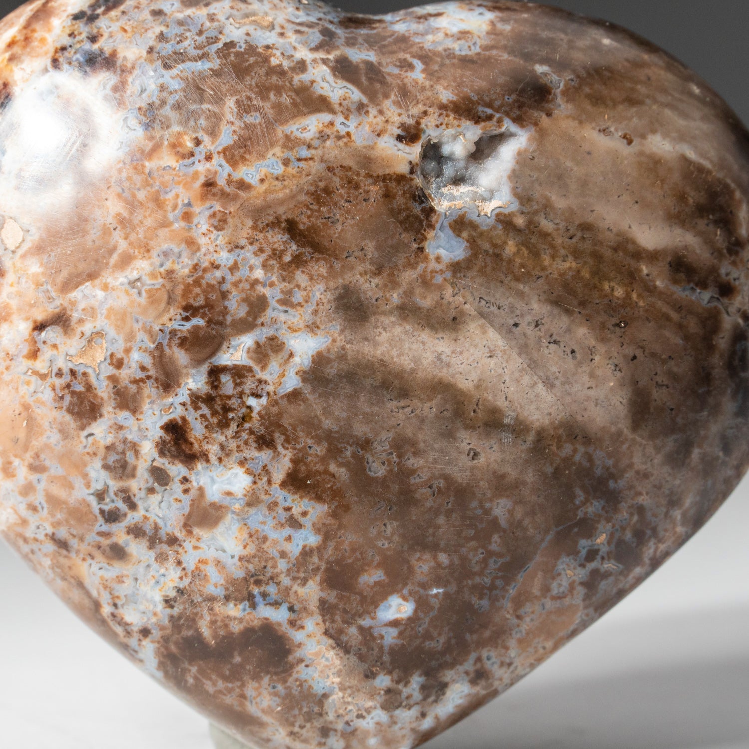 Polished Brown Petrified Wood Heart from Madagascar (202 grams)