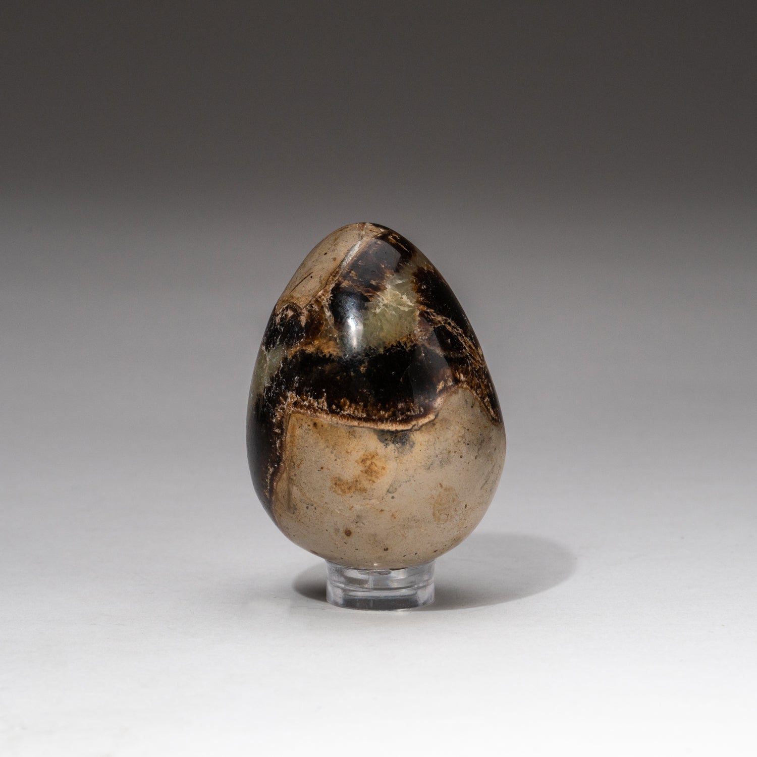 Polished Septarian Egg from Madagascar (89 grams)