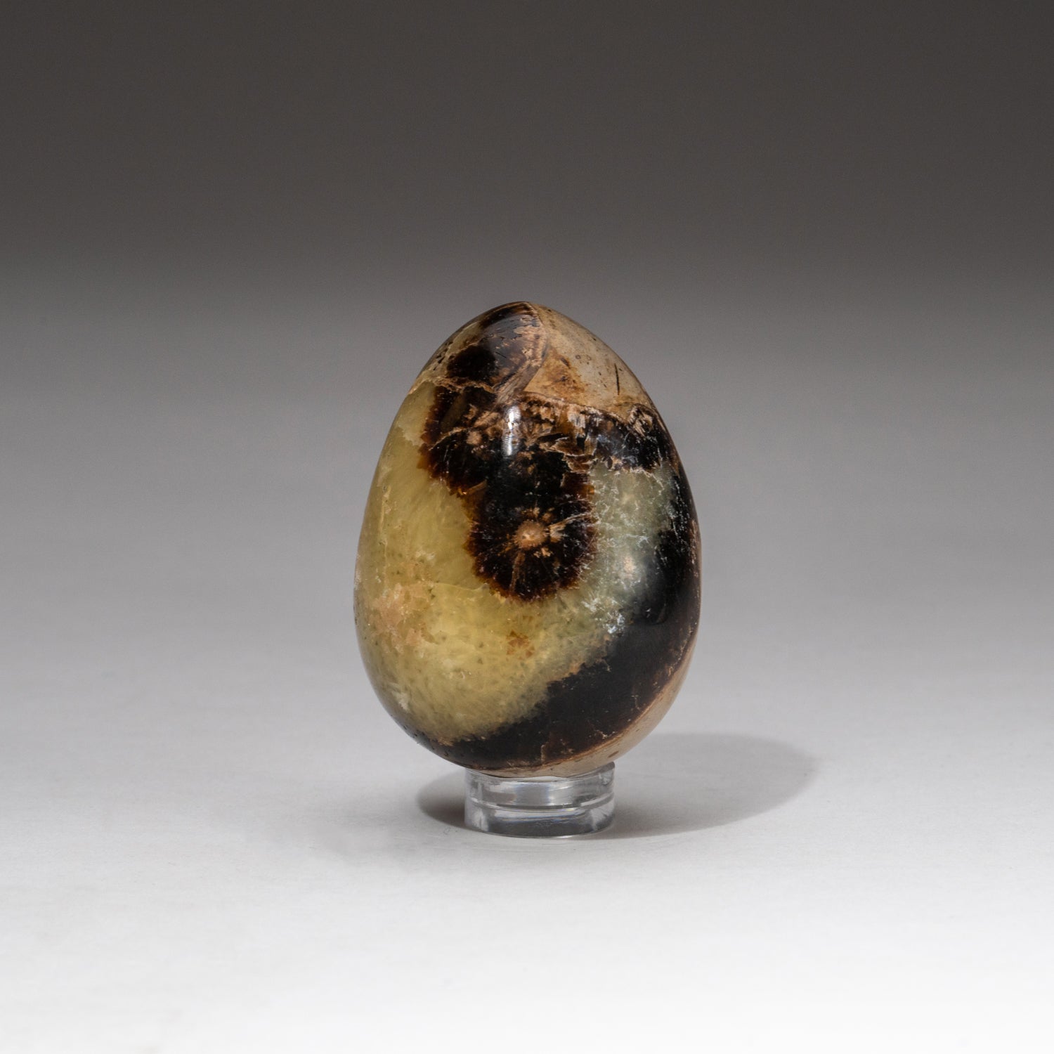 Polished Septarian Egg from Madagascar (89 grams)