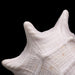 Genuine Horned Helmet Shell (4 lbs) - Astro Gallery of Gems
