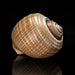 Genuine Tonna Galea Shell (188.3 grams) - Astro Gallery of Gems