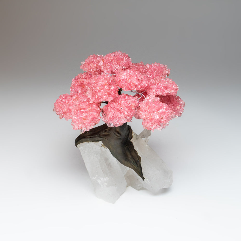 Large - Genuine Rose Quartz Clustered Gemstone Tree on a Quartz Crystal Matrix (The Tree of Light)