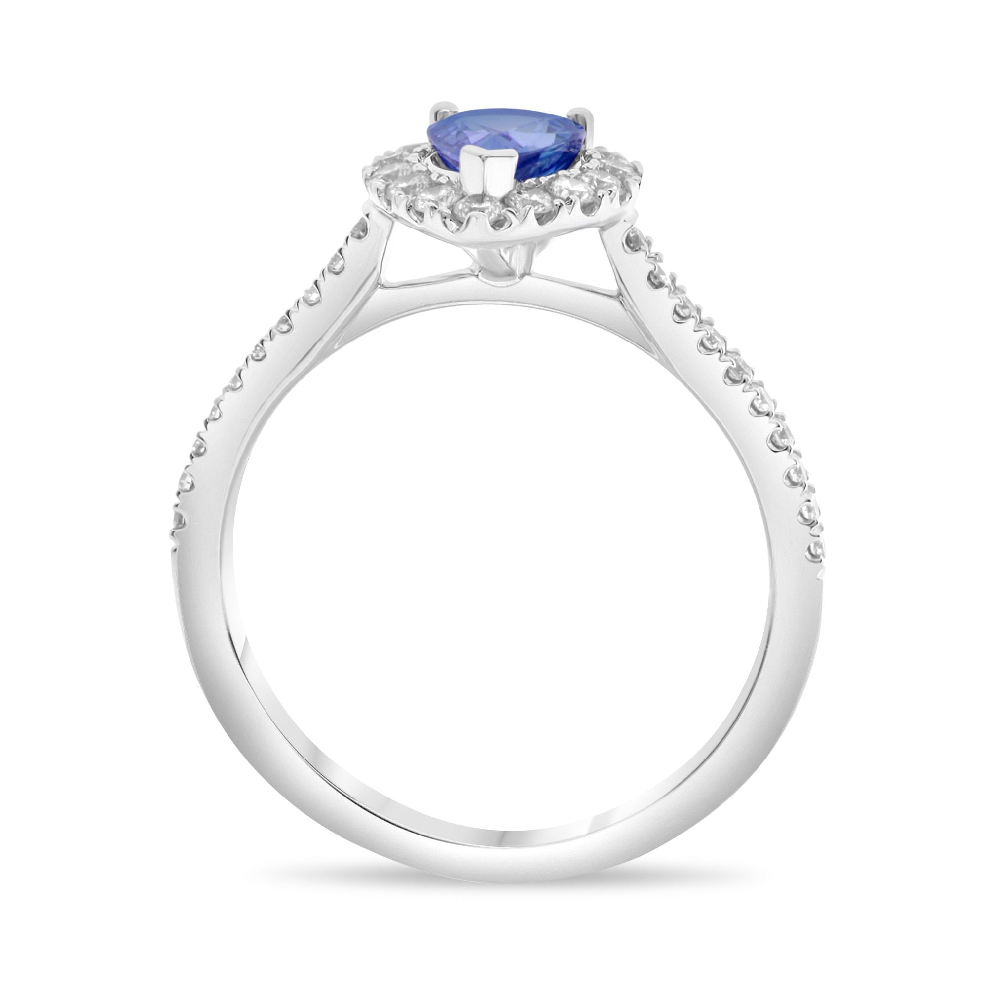 18k White Gold Sapphire Ring (UR2161-3)