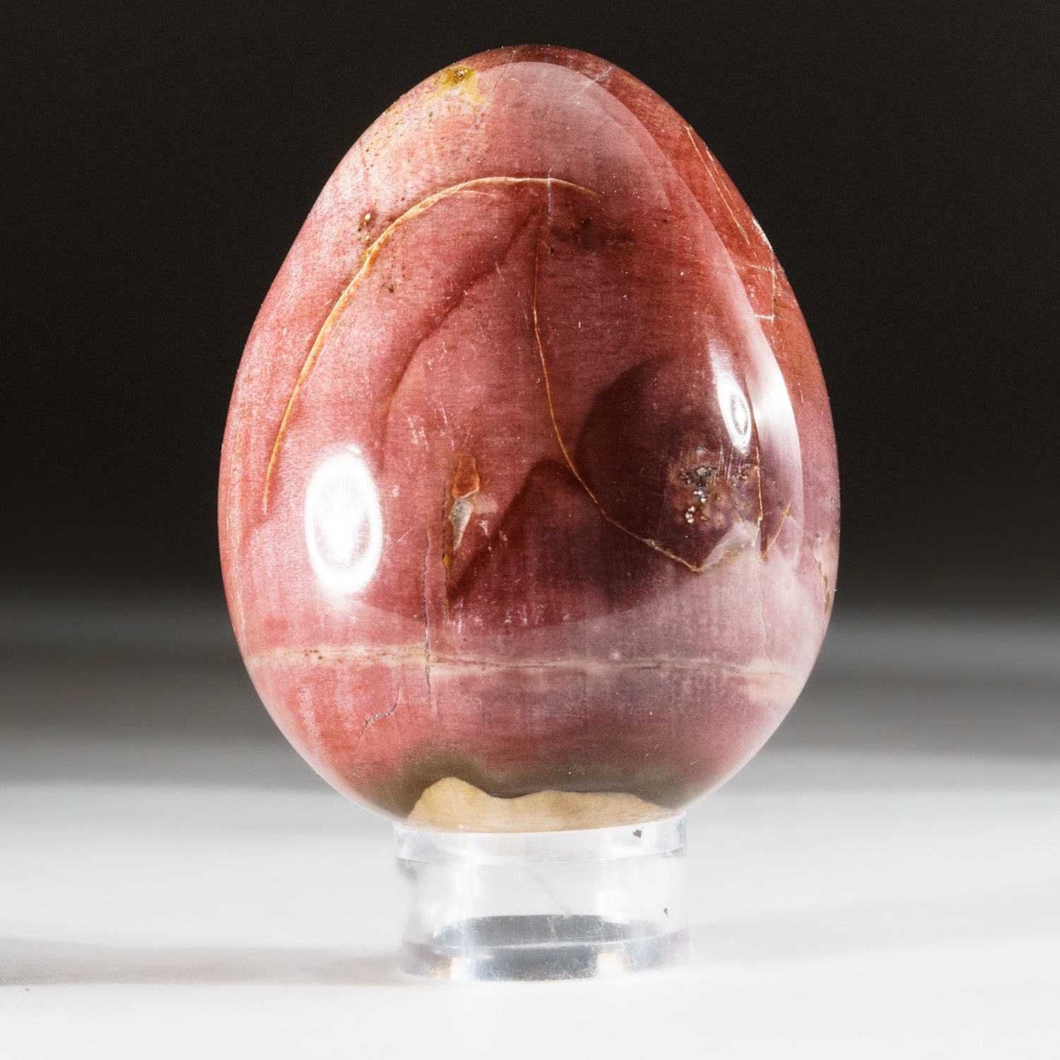 Polished Petrified Wood Egg from Madagascar (266 grams)