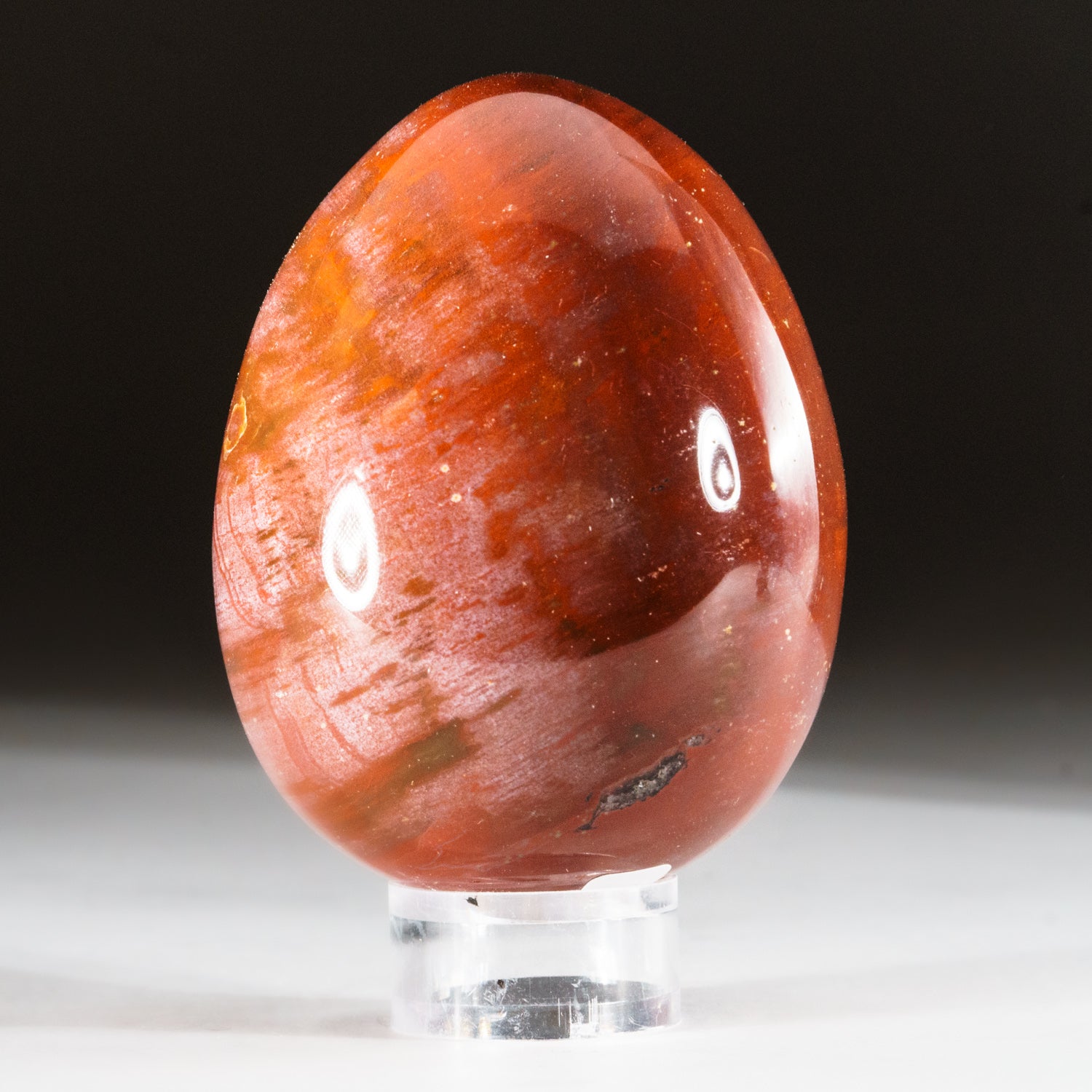 Polished Petrified Wood Egg from Madagascar (315 grams)