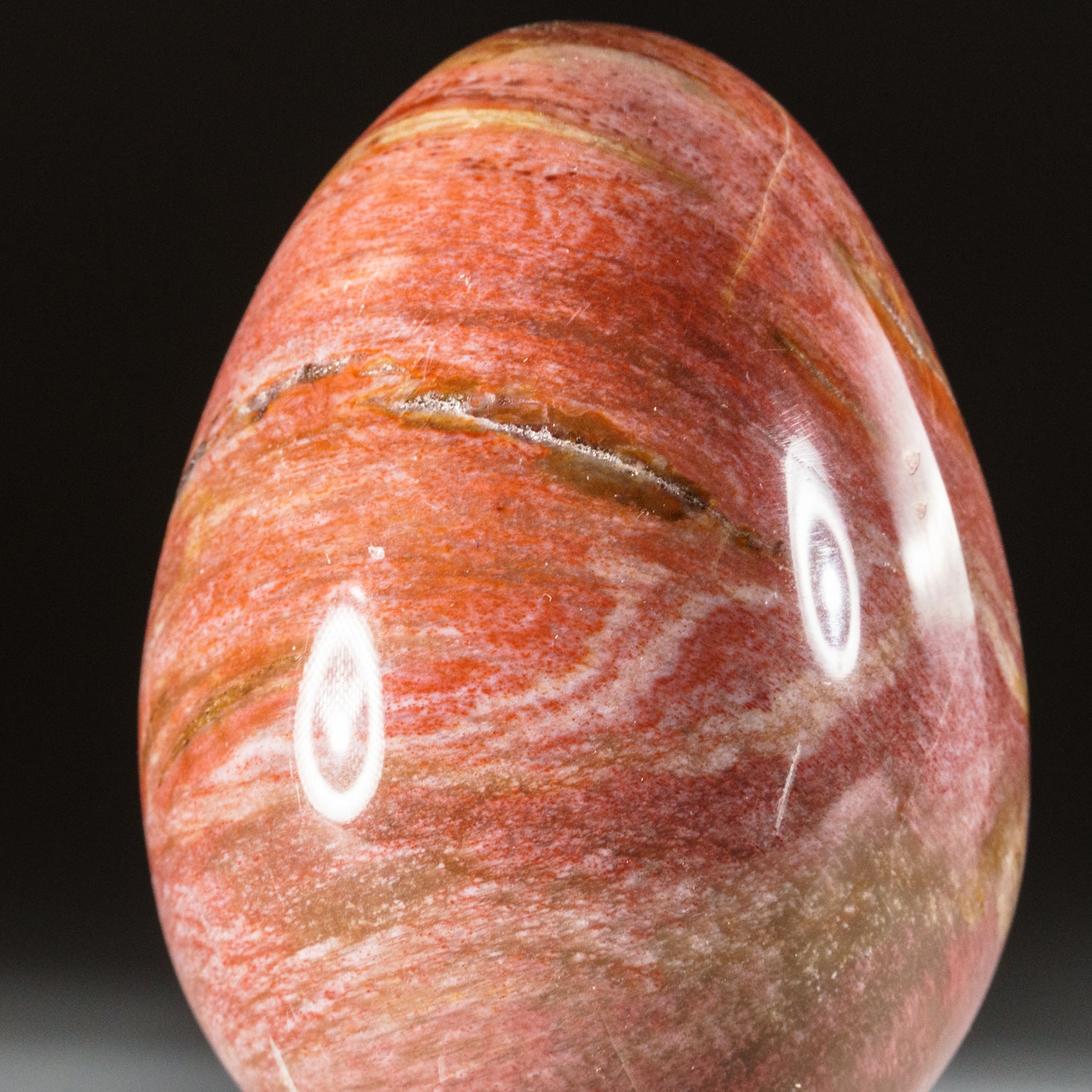 Polished Petrified Wood Egg from Madagascar (.5 lbs)