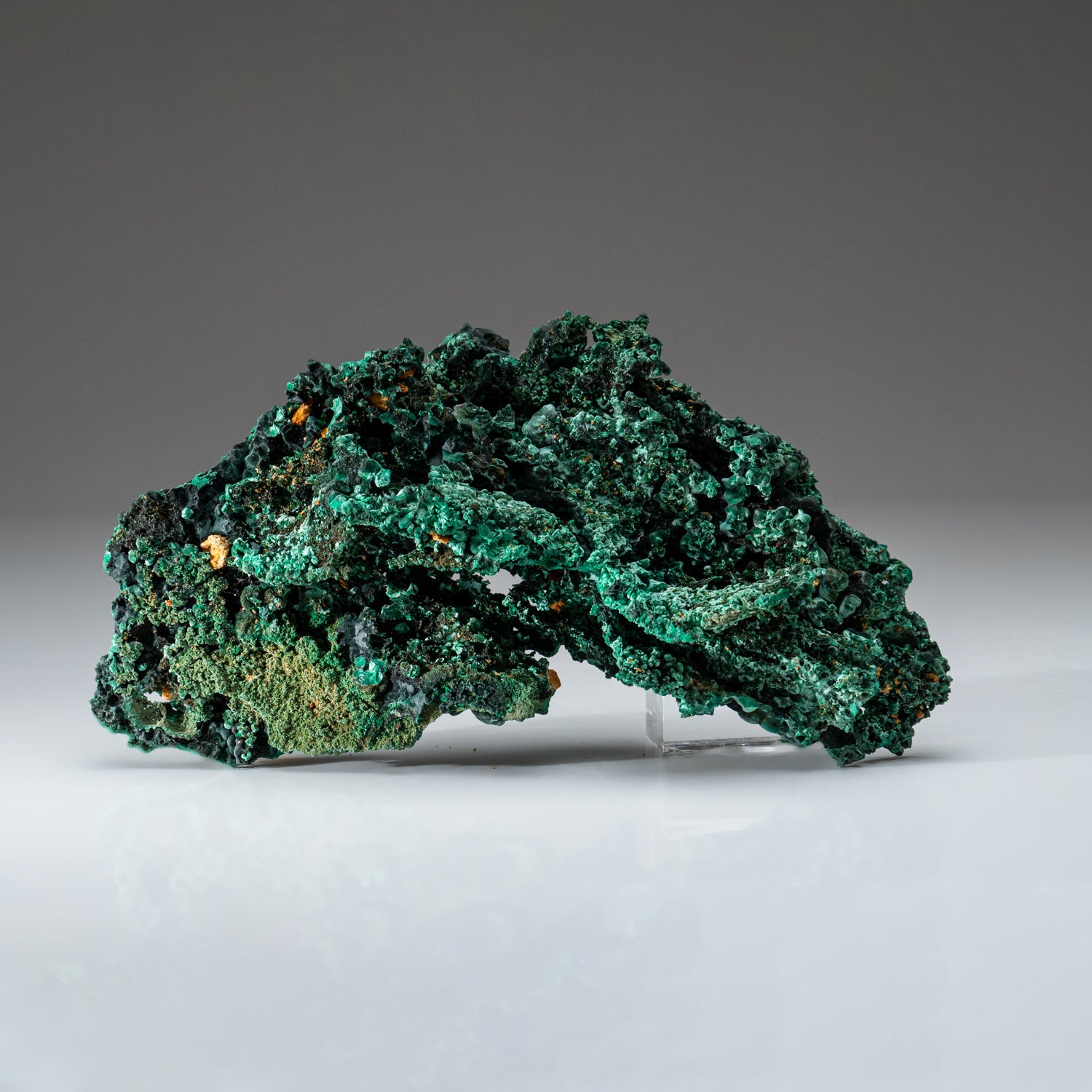 Malachite from Shaba Copper Belt, Katanga (Shaba) Province, Democratic Republic of the Congo (Zaire)