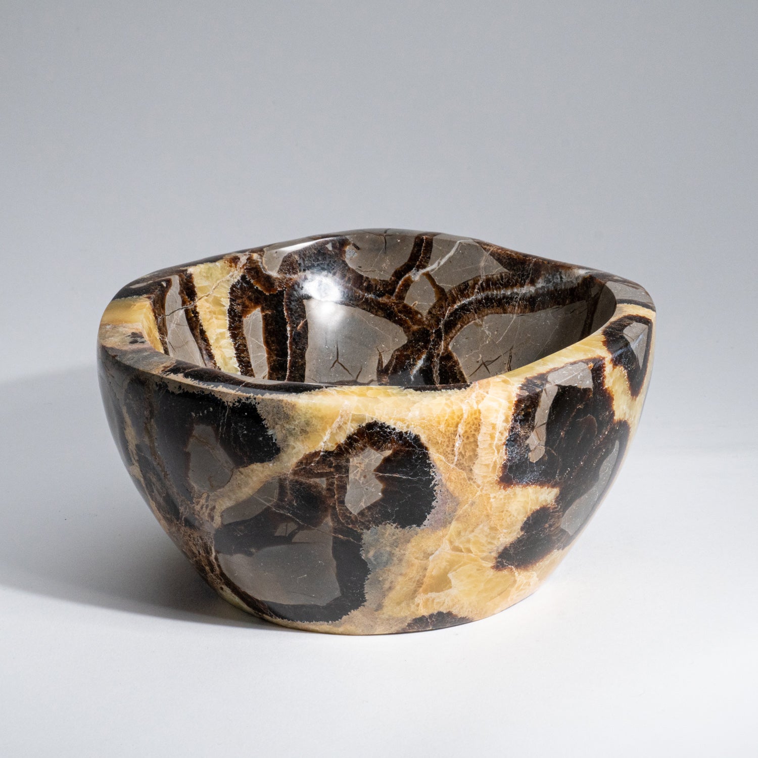 Genuine Polished Septarian Bowl from Madagascar (4 lbs)