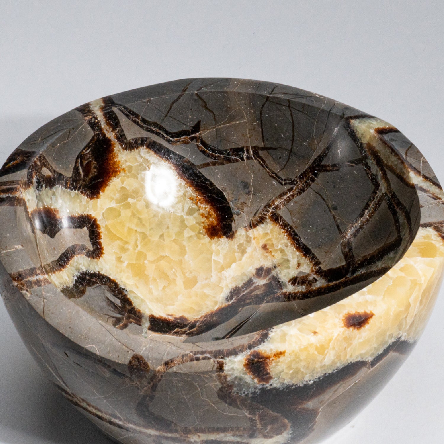 Genuine Polished Septarian Bowl from Madagascar (4.5 lbs)