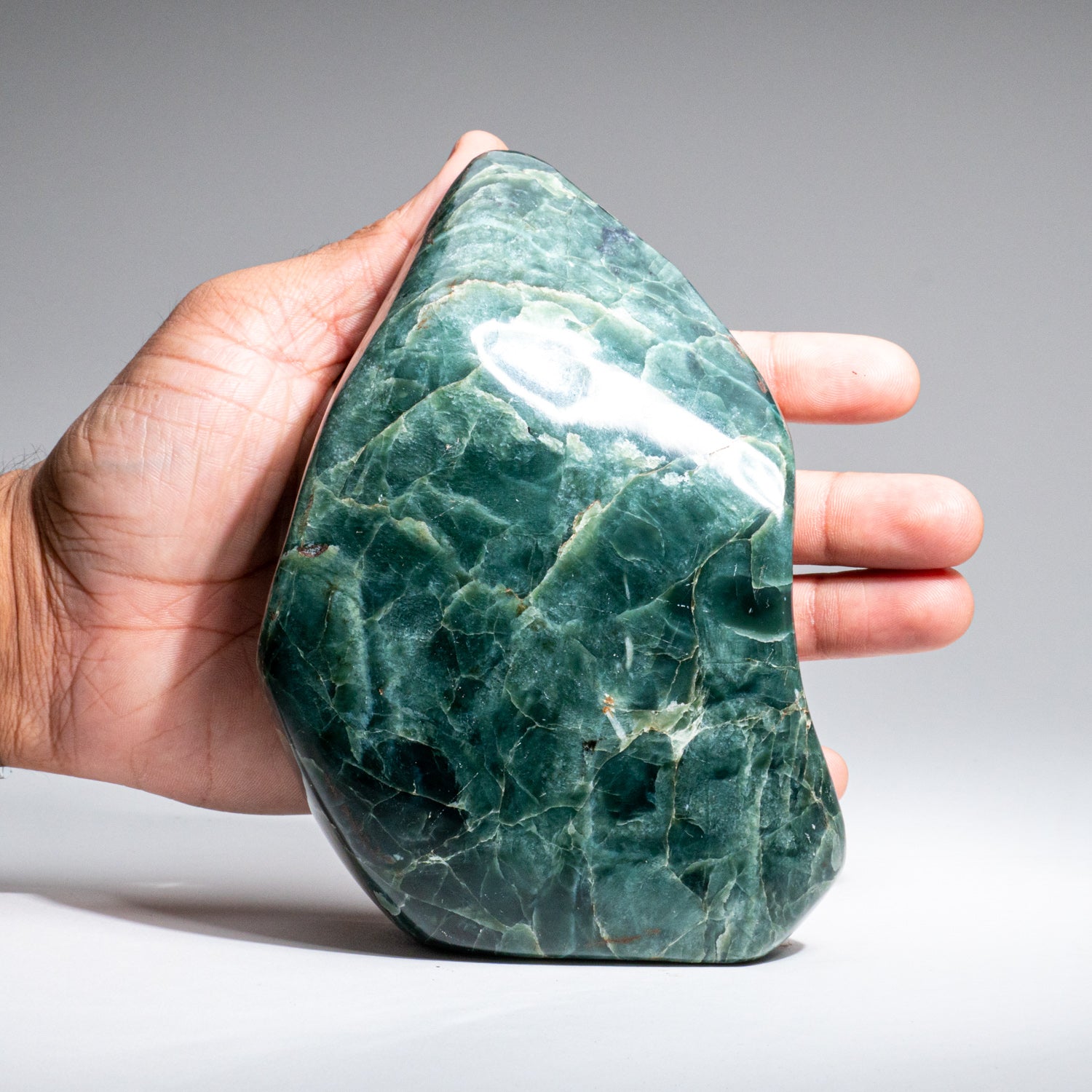 Polished Nephrite Jade Freeform from Pakistan (2.4 lbs)