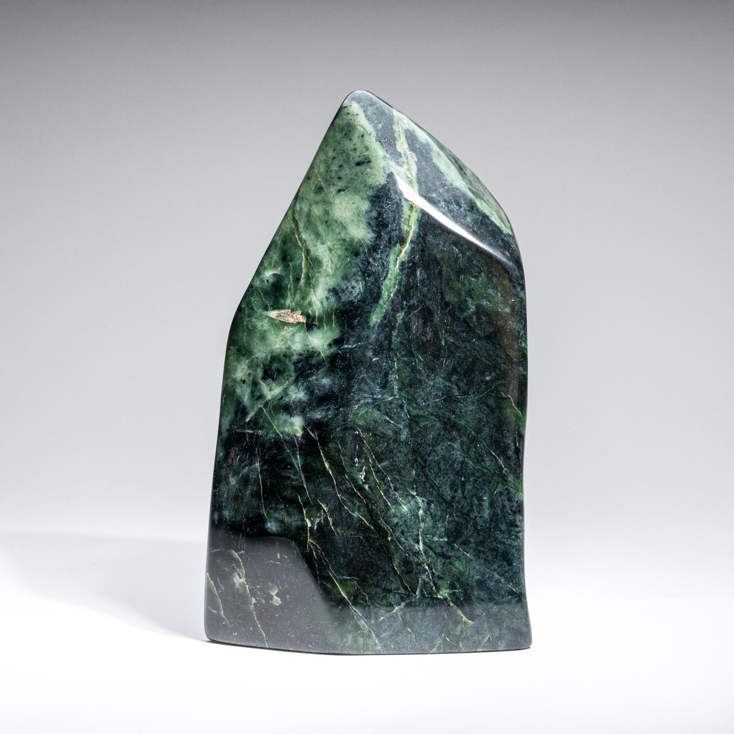 Polished Nephrite Jade Freeform from Pakistan (3.3 lbs)