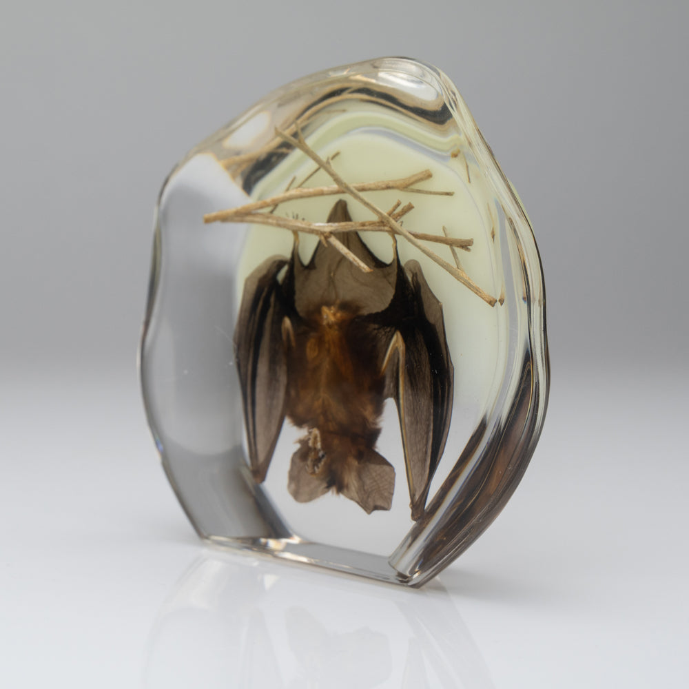 Hanging Bat With Twigs in Lucite